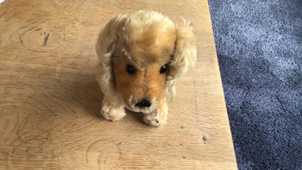 Vintage steiff revue susie Cocker spanniel hond  jaren 60, Antiek en Kunst, Ophalen