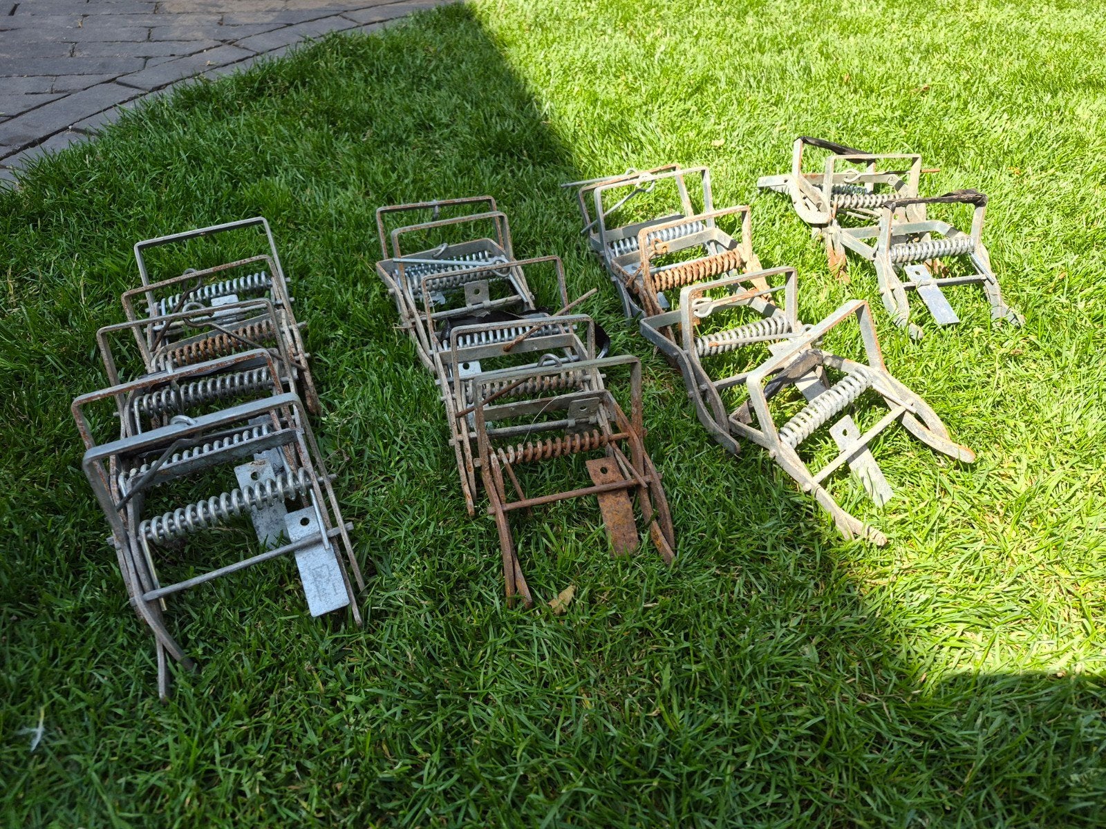 18 mollenklemmen, Dieren en Toebehoren, Ophalen
