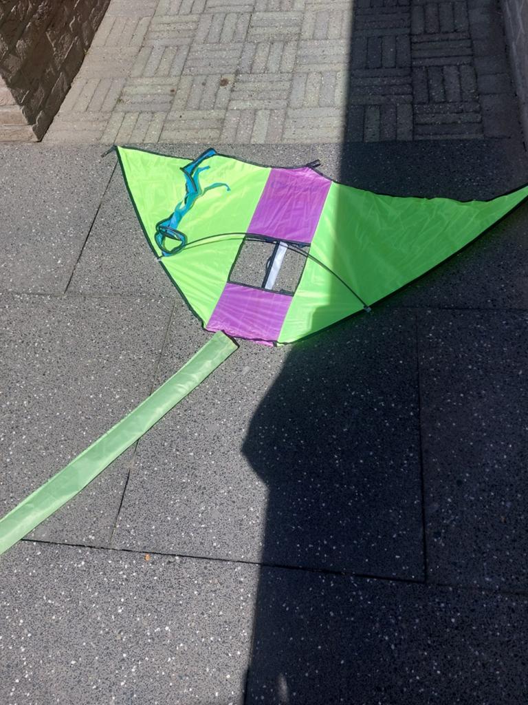 Gebrruikte Vlieger - Groen/Paars, Ophalen of Verzenden, Gebruikt, Tweelijns, Vlieger