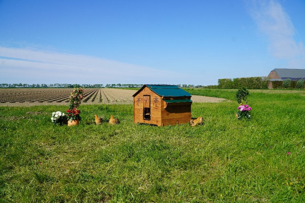 Trespa Kippenhok Cucciolotta | Farm Evolution 3XL, Ophalen of Verzenden, Nieuw, Kippenhok of Kippenren