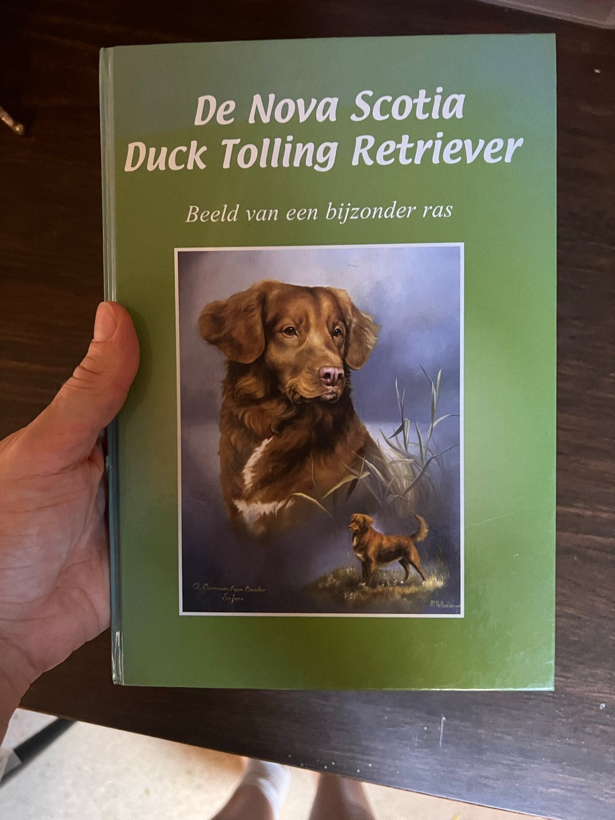 De Nova Scotia Duck Tolling Retriever - Boek, Ophalen of Verzenden, Gelezen, Honden