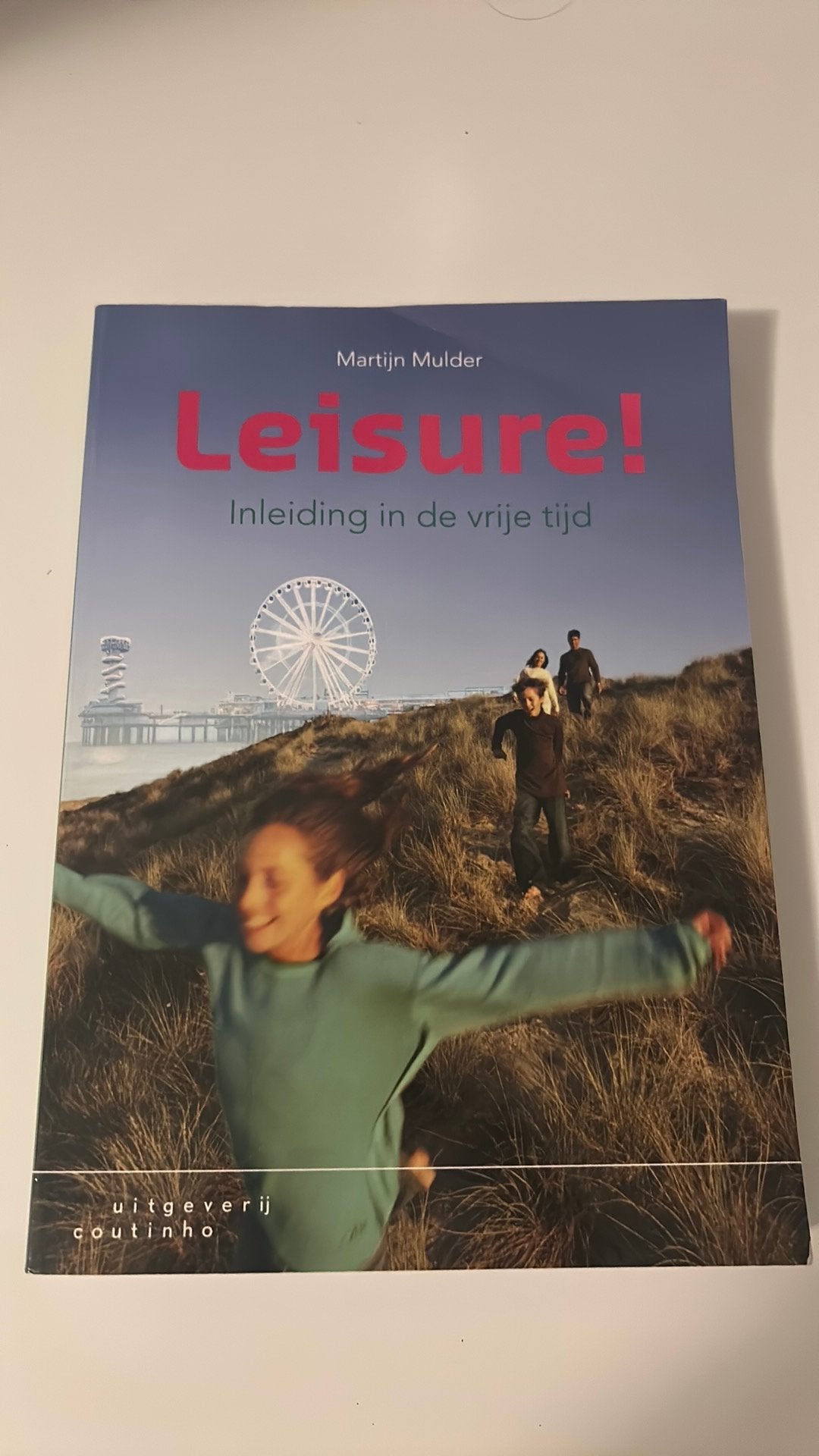 Leisure!, Sociale wetenschap, Ophalen of Verzenden, Zo goed als nieuw, Martijn Mulder