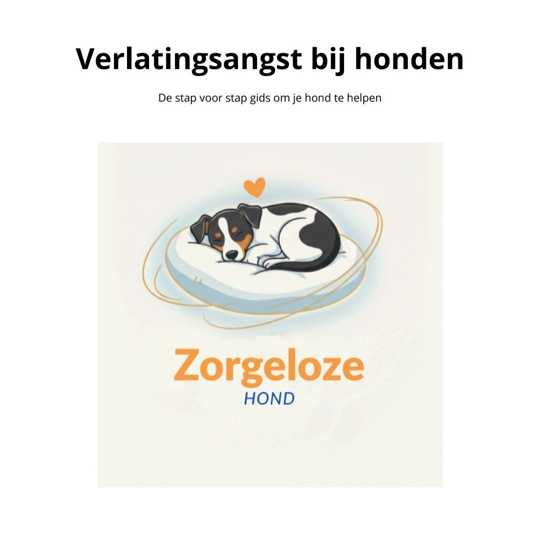 Verlatingsangst bij je hond oplossen? E-book + werkboek, Boeken, E-books