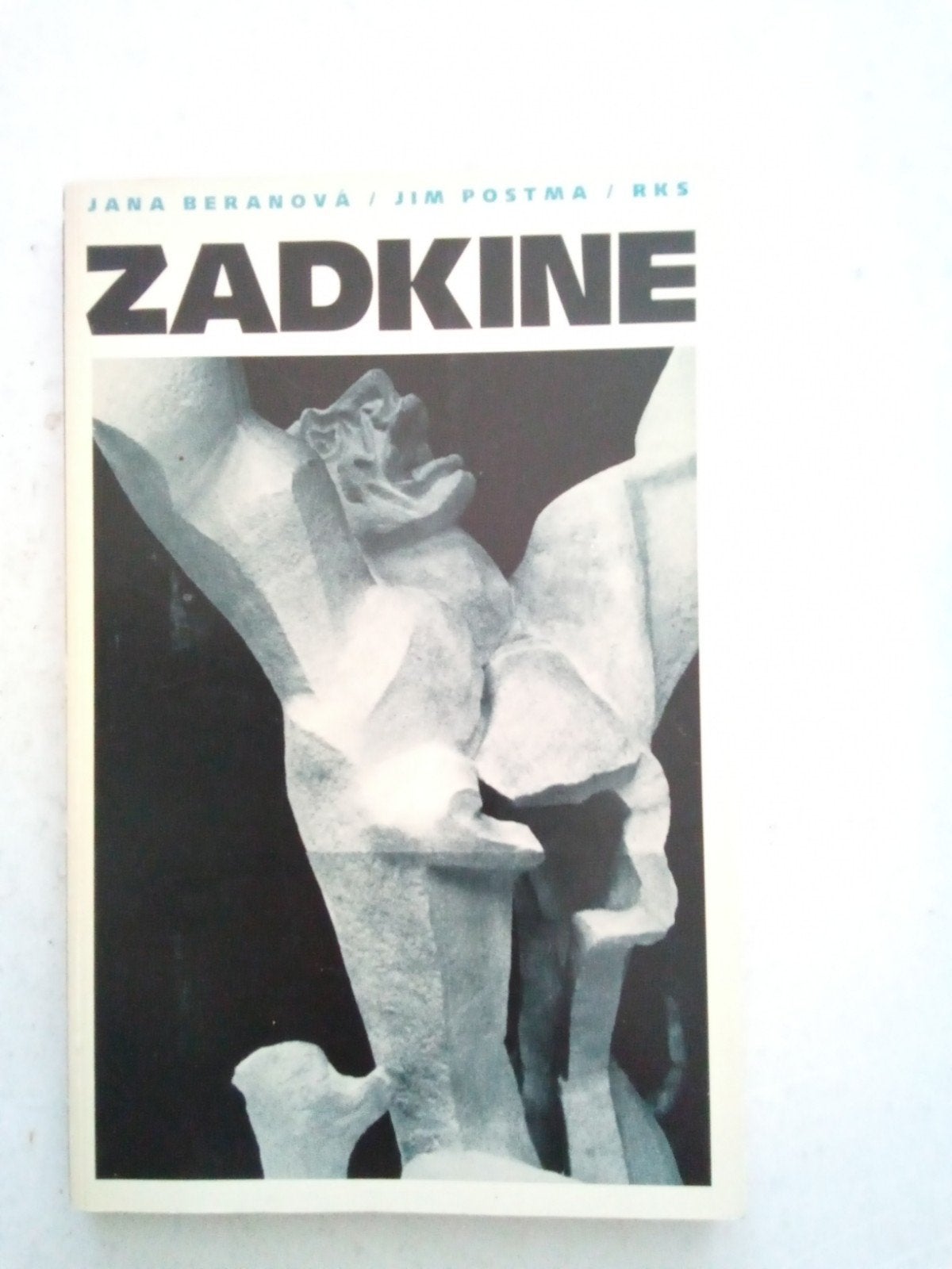 Zadkine: De pijn achtervolgt beeld van Zadkine, Ophalen of Verzenden, Gelezen
