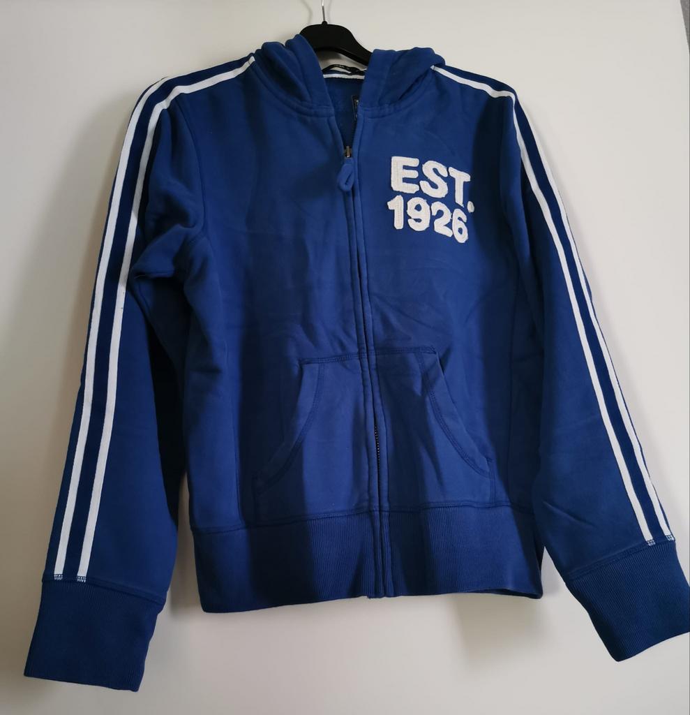 Hema heren sweater vest blauw maat M met capuchon, Kleding | Heren, Truien en Vesten, Ophalen of Verzenden, Nieuw, Maat 48/50 (M)