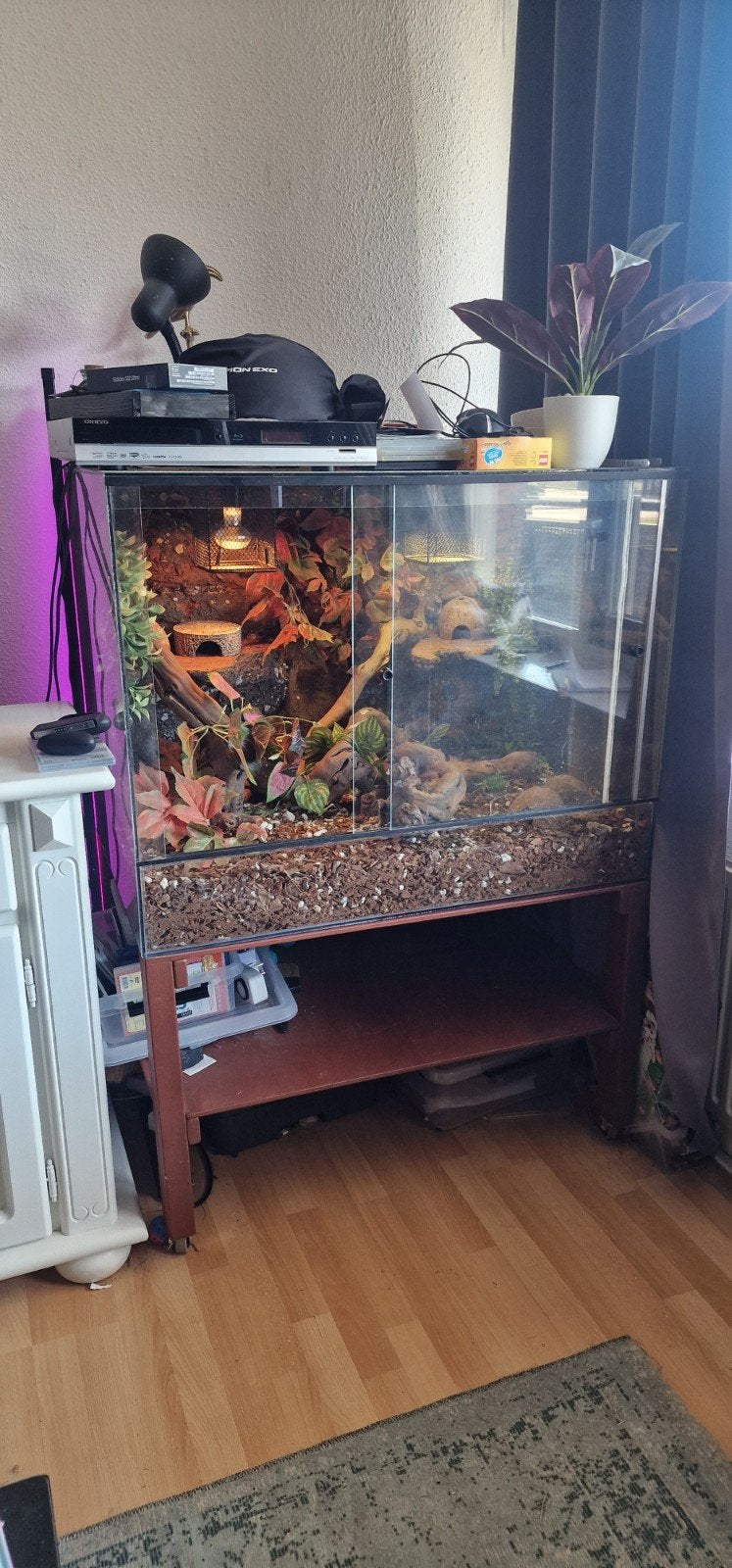 Terrarium 90L 70B 90H met custom achterwand en kastje, Ophalen