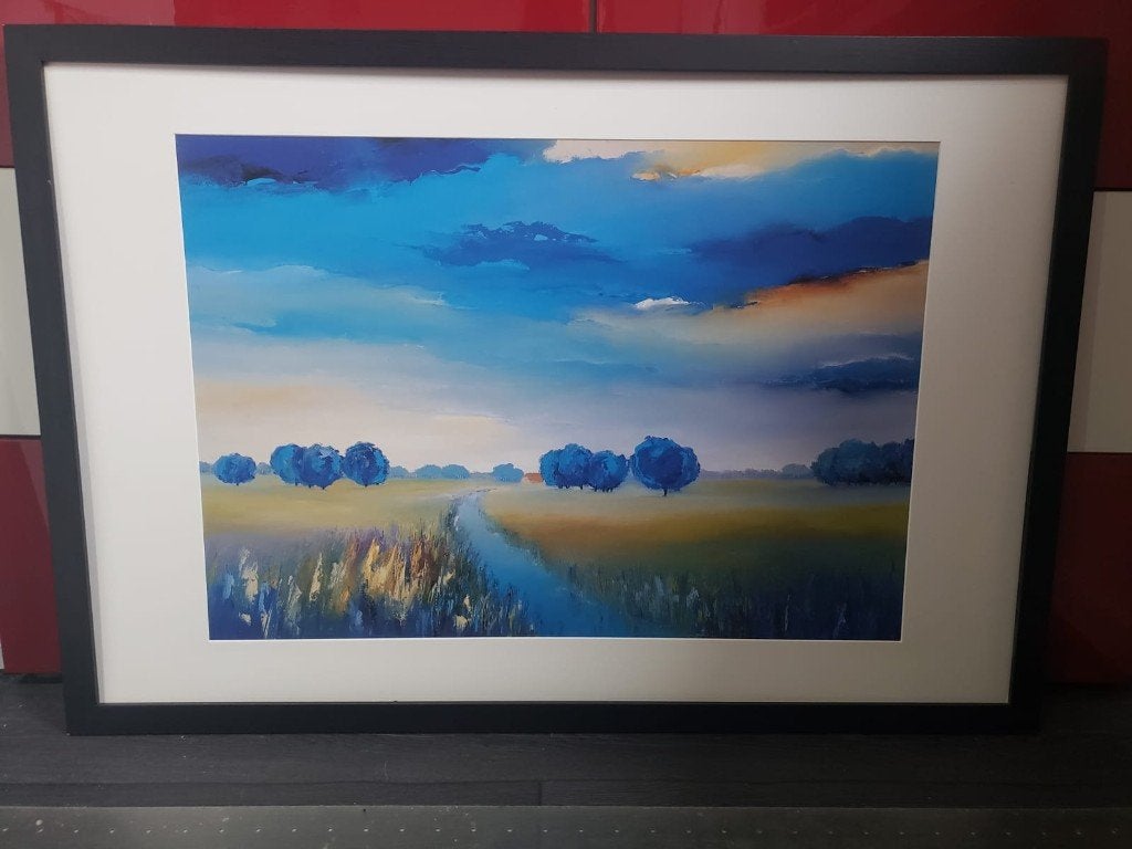 Hans paus, 50 – 75, Ophalen of Verzenden, 75 tot 100 cm, Print