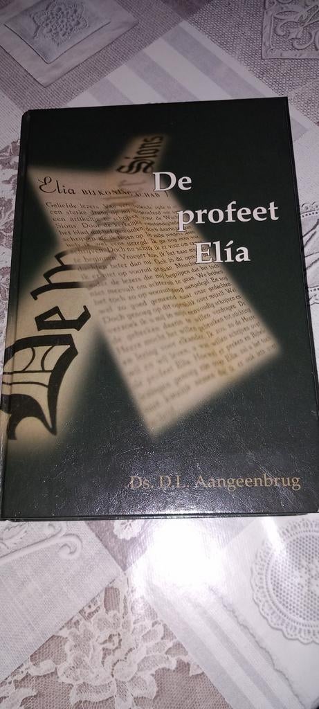 De Profeet Elia., Ophalen of Verzenden, Zo goed als nieuw