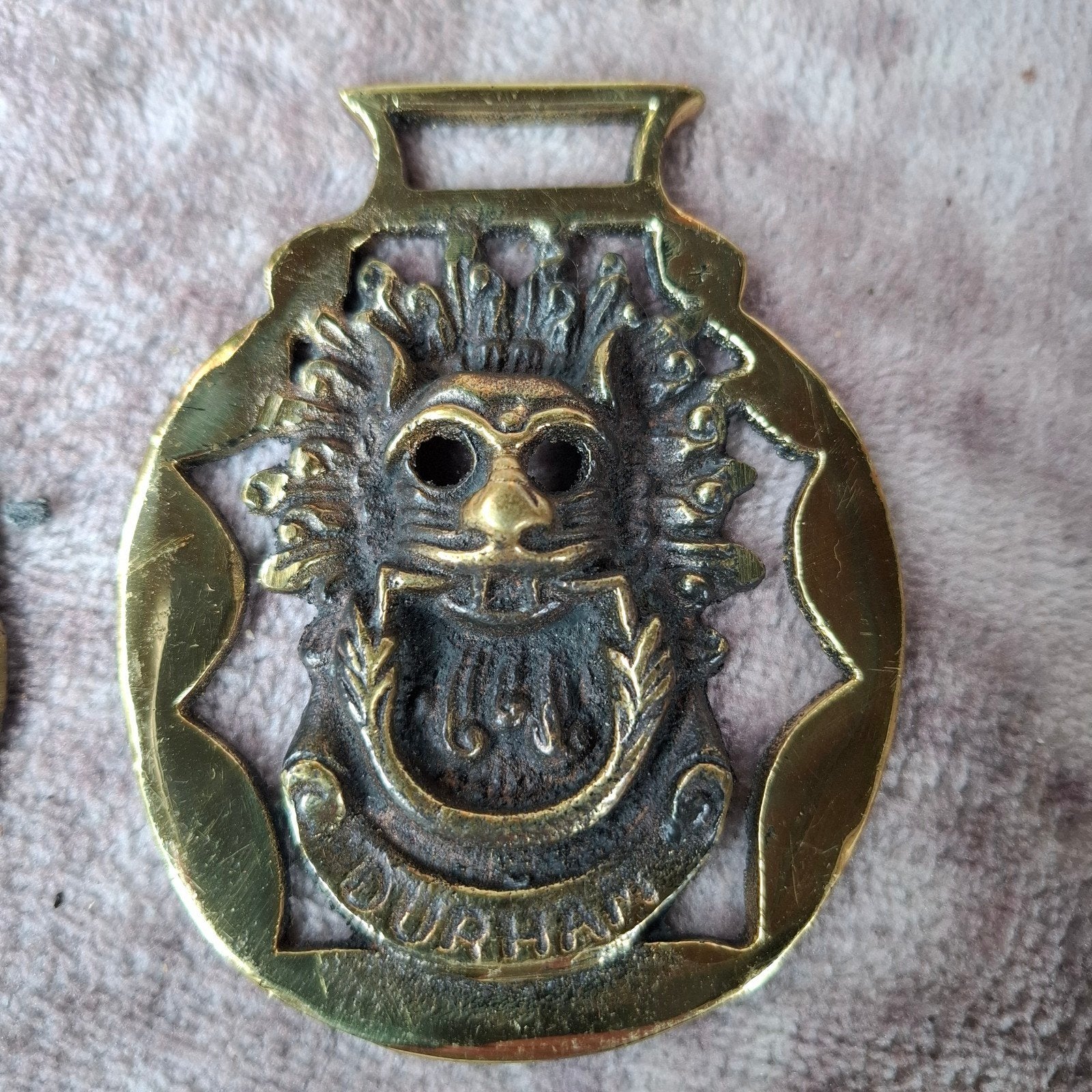 Vintage Messing Paarden Rozetten: Durham & Wales, Ophalen of Verzenden