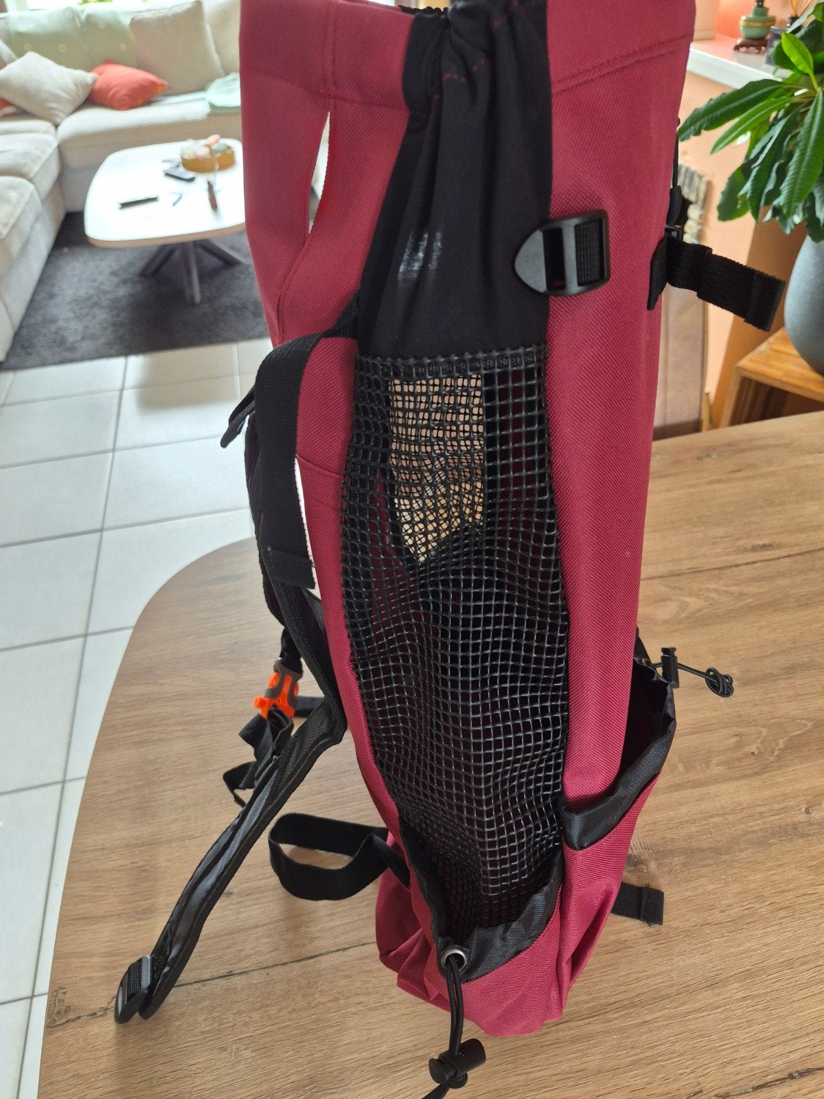 Hondenrugzak - dierenreistas - Draagtas voor honden, Ophalen of Verzenden, Nieuw, Draagtas/-zak