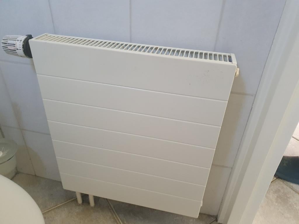 Kleine radiator, Doe-het-zelf en Verbouw, Ophalen of Verzenden, Minder dan 60 cm, Radiator, 30 tot 80 cm
