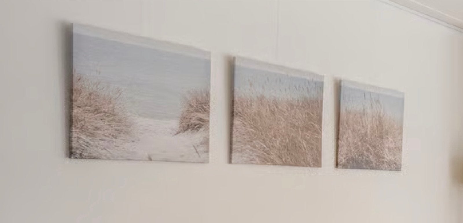 PJÄTTERYD IKEA canvas doeken - Zweedse zandduinen (3 stuks), Ophalen, 50 – 75, Zo goed als nieuw, Foto of Poster