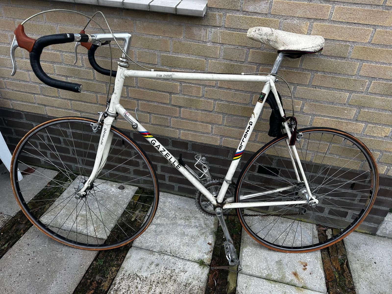 Gazelle racefiets, Ophalen, Gebruikt, Aluminium, Meer dan 20 versnellingen