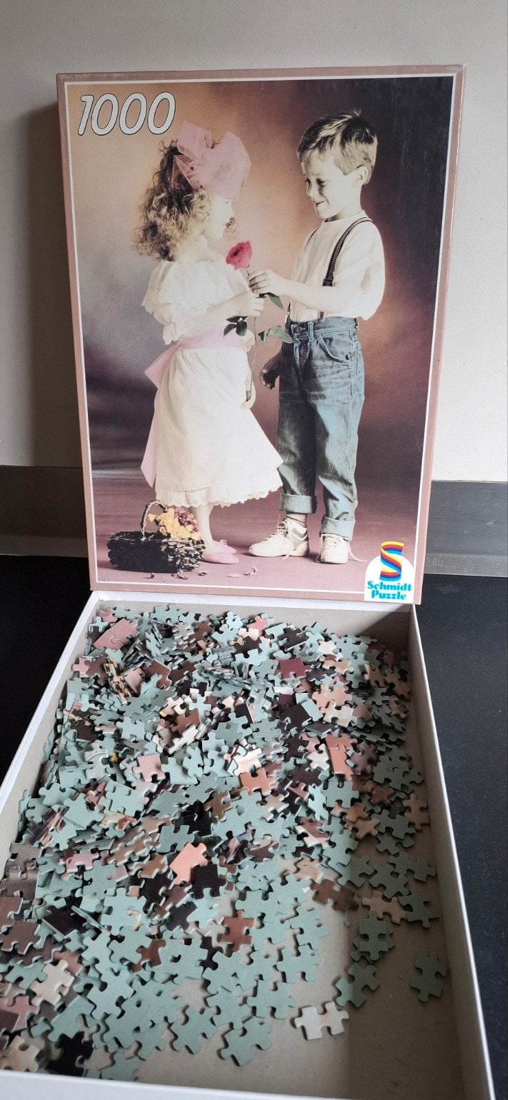 2x Legpuzzel: Schmidt 1000 stukjes & Wecycle 500 stukjes, Ophalen, 500 t/m 1500 stukjes, Gebruikt, Legpuzzel