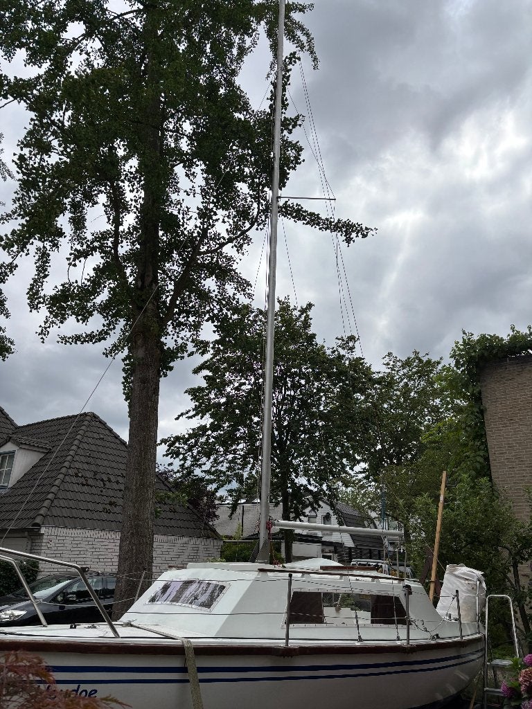Zeilboot met Buitenboordmotor, Opt. met Boottrailer (+€1000), Watersport en Boten, Kajuitzeilboten en Zeiljachten, Ophalen, Overige merken