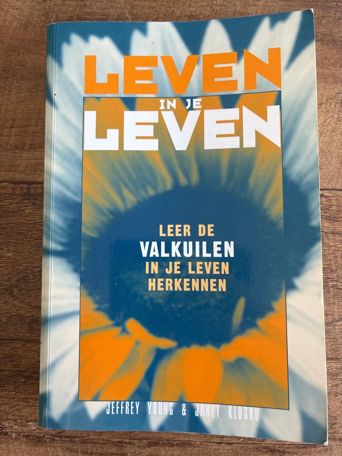 Leven in je Leven - Leer de valkuilen herkennen, Boeken, Ophalen of Verzenden, Gelezen, Klinische psychologie