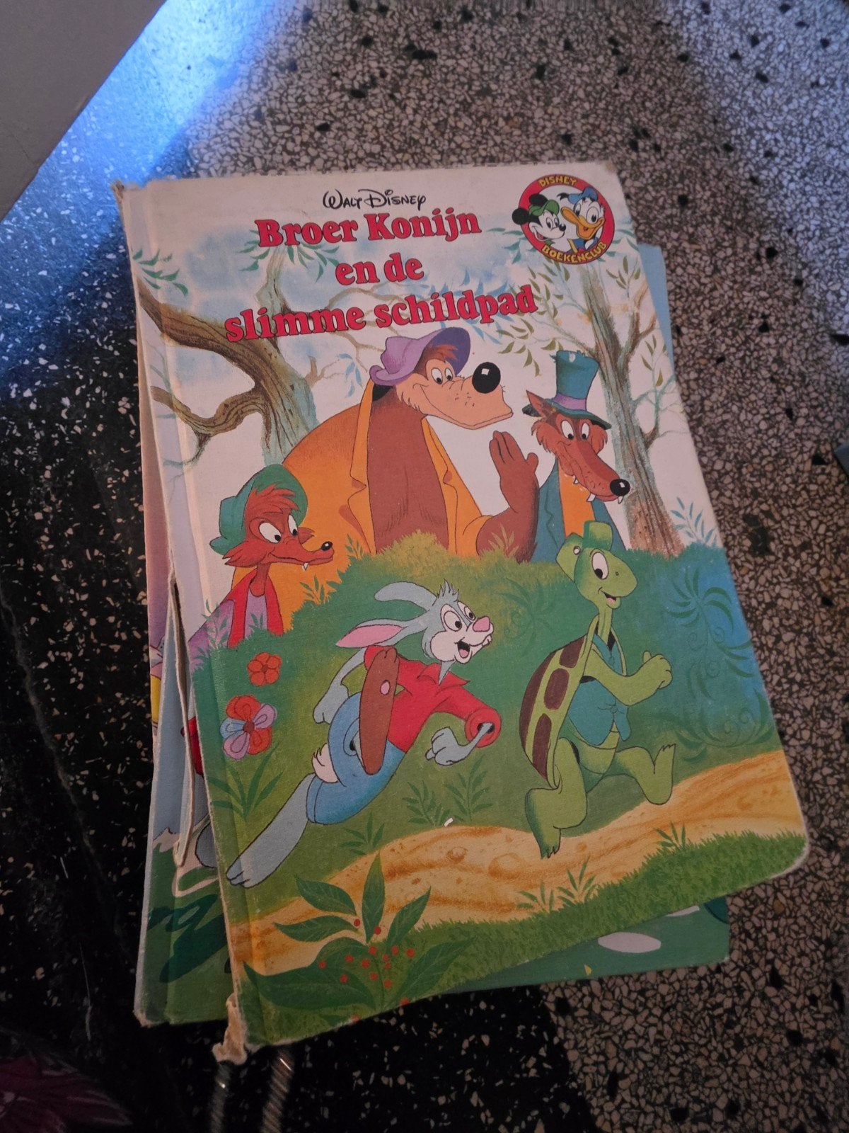 15x Disney Gouden Boekjes - Diverse Titels, Gelezen, 5 of 6 jaar, Walt Disney, Ophalen of Verzenden