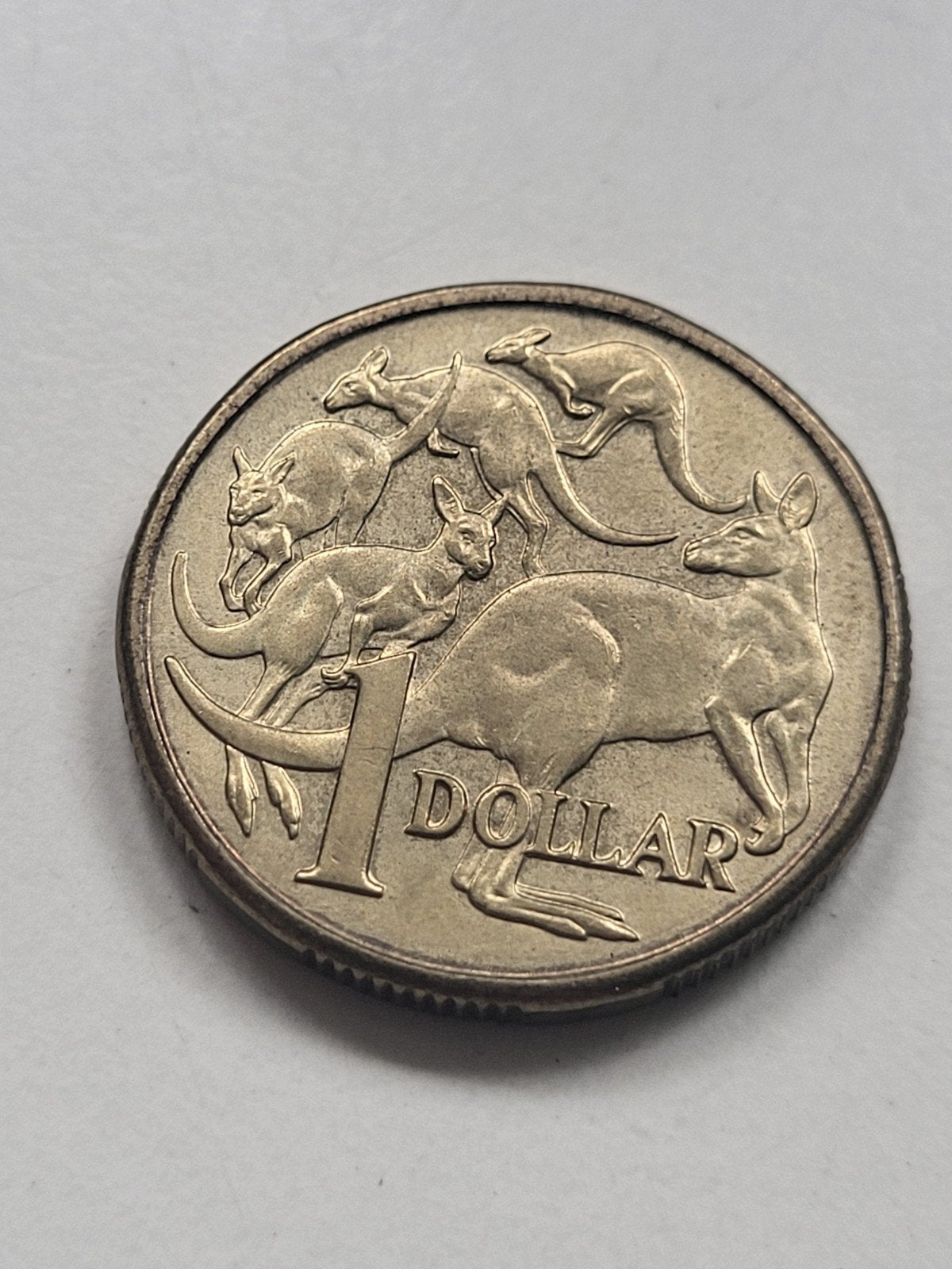 Australië 1 Dollar munt 1983 kangoeroes - Koningin Elizabeth, Ophalen of Verzenden, Losse munt