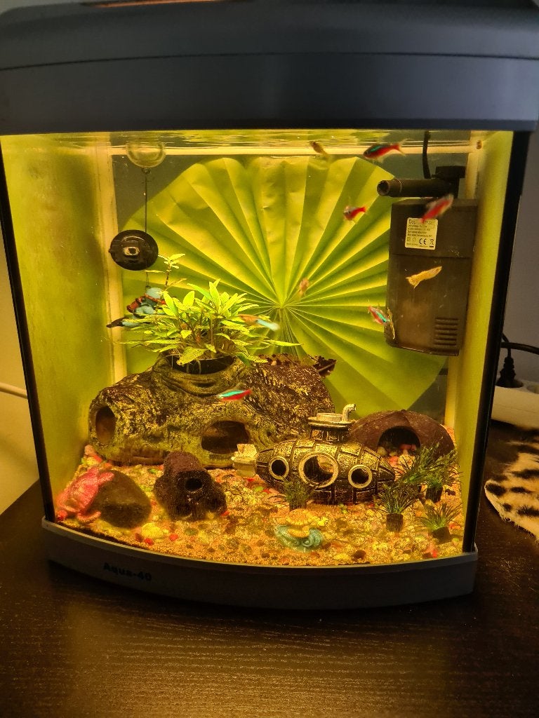 Mooie Aqua 40 Compleet met toebehorenn!, Dieren en Toebehoren, Vissen | Aquaria en Toebehoren, Ophalen, Gebruikt, Gevuld zoetwateraquarium