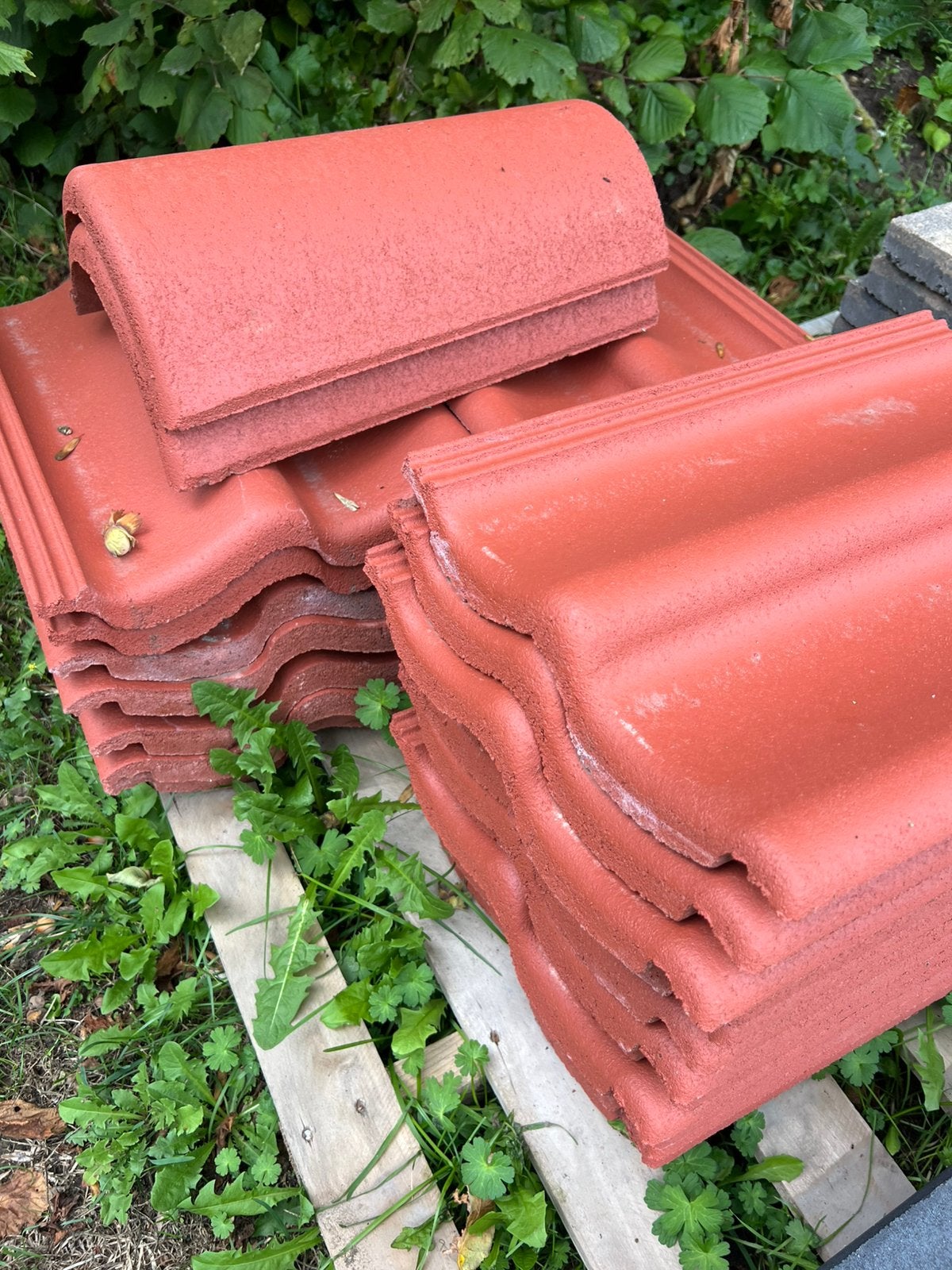 25 dakpannen hollands rood, Ophalen, Steen of Klei, Nieuw, Minder dan 5 m²