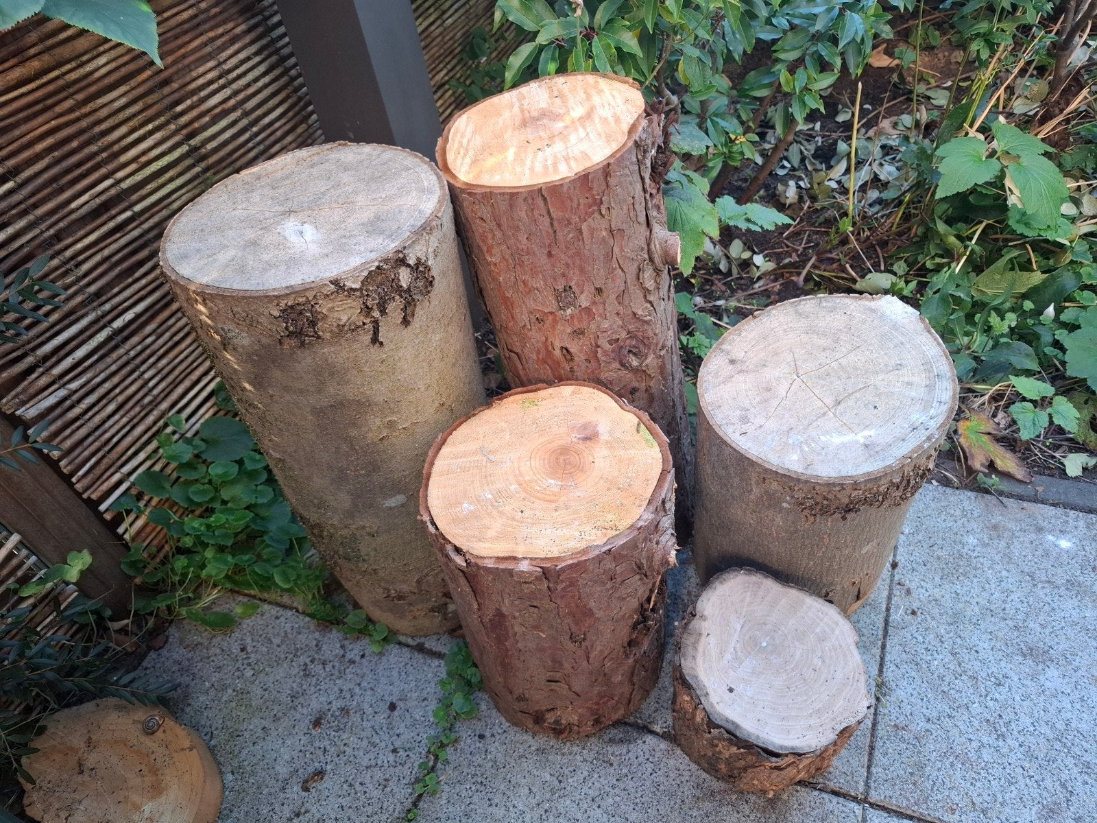Hakblokken boomstammen diverse afmetingen hout stam blok, Ophalen, Gebruikt