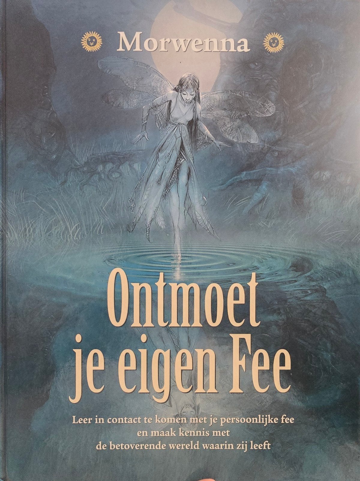 Morwenna - Ontmoet je eigen Fee, Morwenna, Ophalen of Verzenden, Zo goed als nieuw, Instructieboek