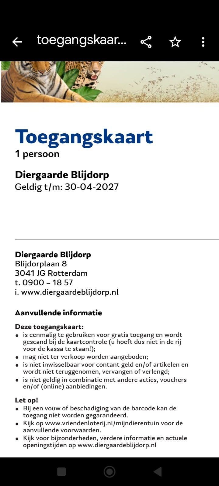4 kaartjes voor blijdorp dierentuin, Drie personen of meer, Ticket of Toegangskaart