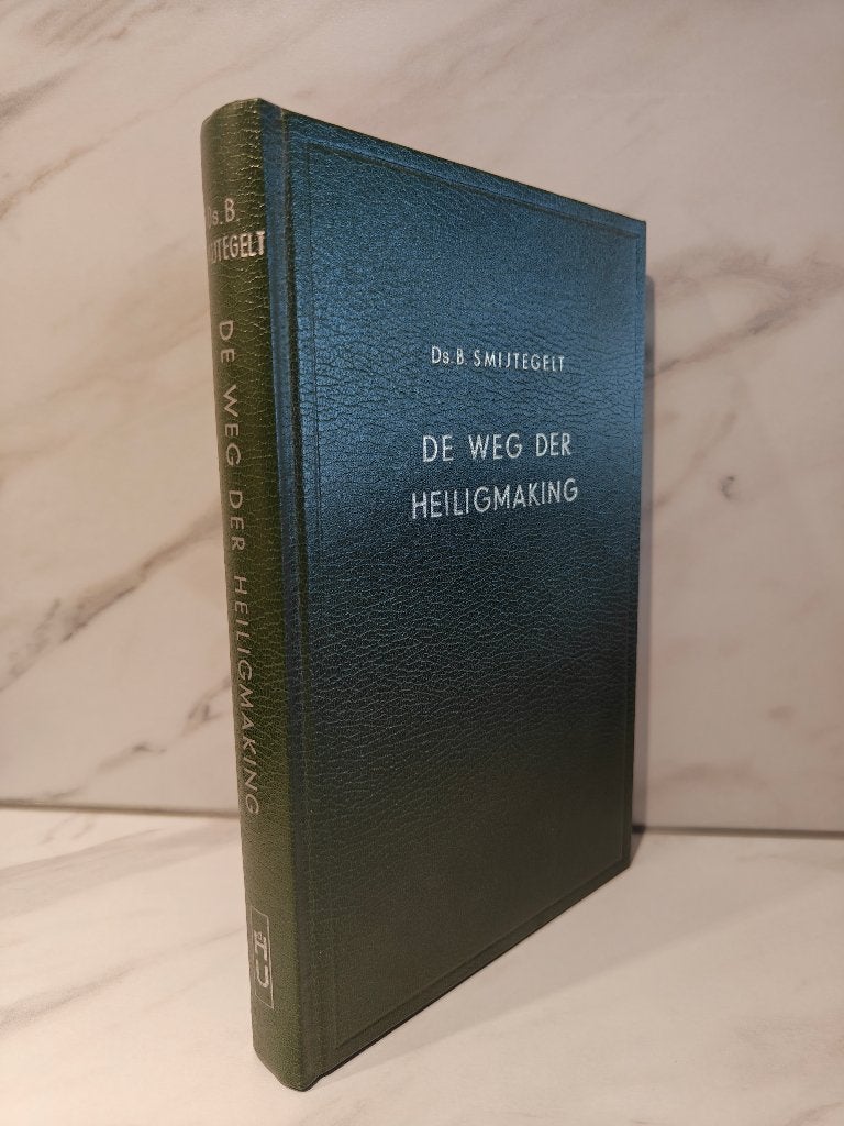 Bernardus Smytegelt: De weg der heiligmaking., Ophalen of Verzenden, Gelezen, Christendom | Protestants
