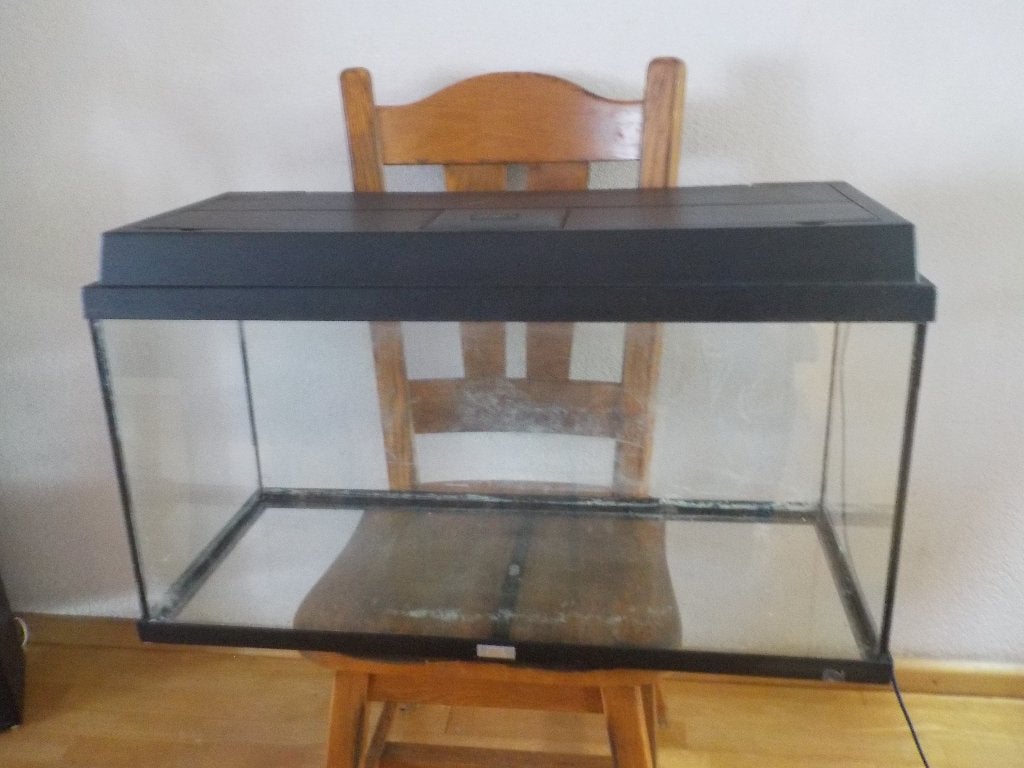 terrarium, Ophalen of Verzenden, Gebruikt, Terrarium of Paludarium