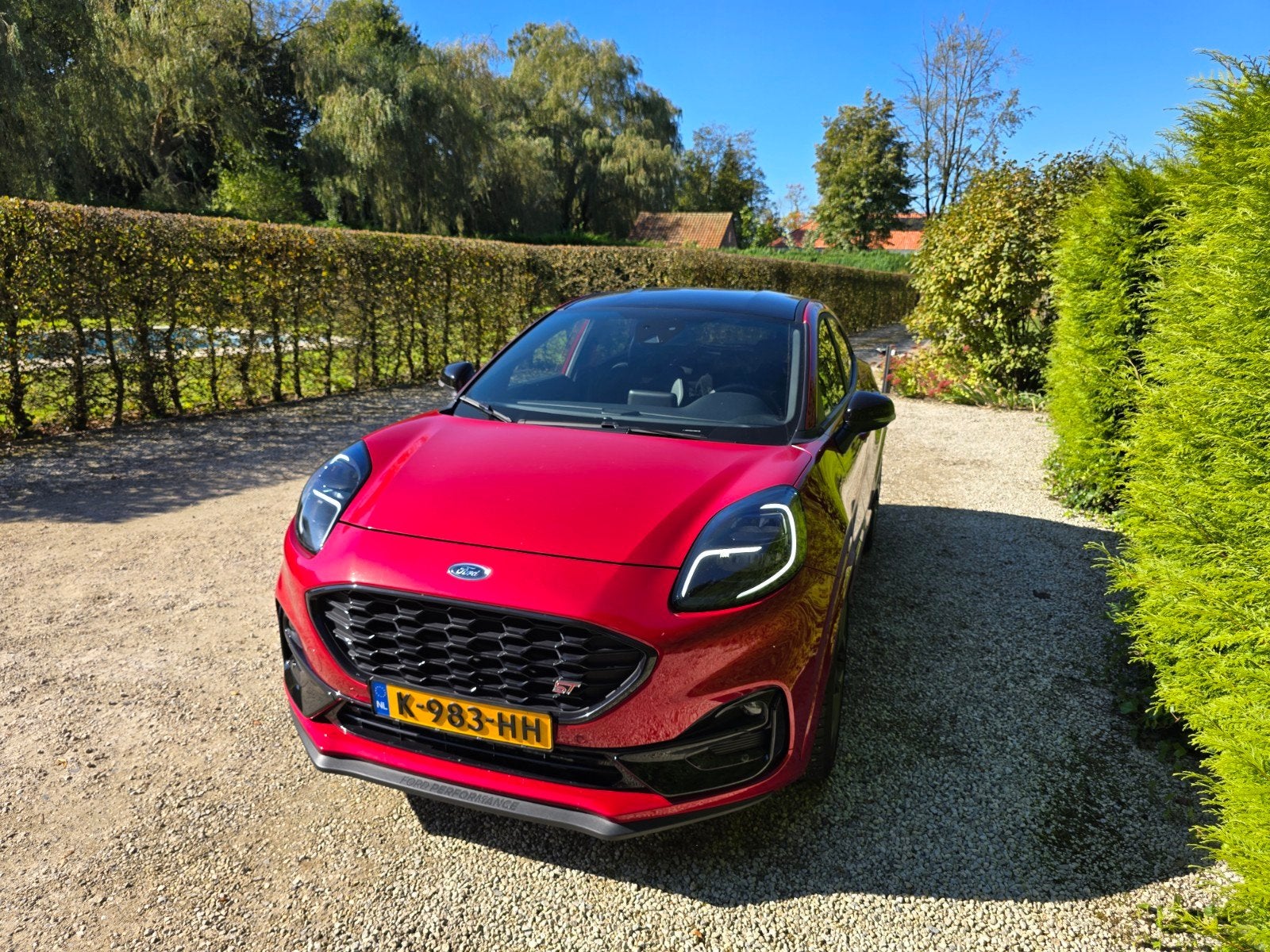 Ford Puma 1.5 Ecoboost Stage 2 +-250pk(Revo intake)  2021, Voorwielaandrijving, Puma, Origineel Nederlands, Handgeschakeld