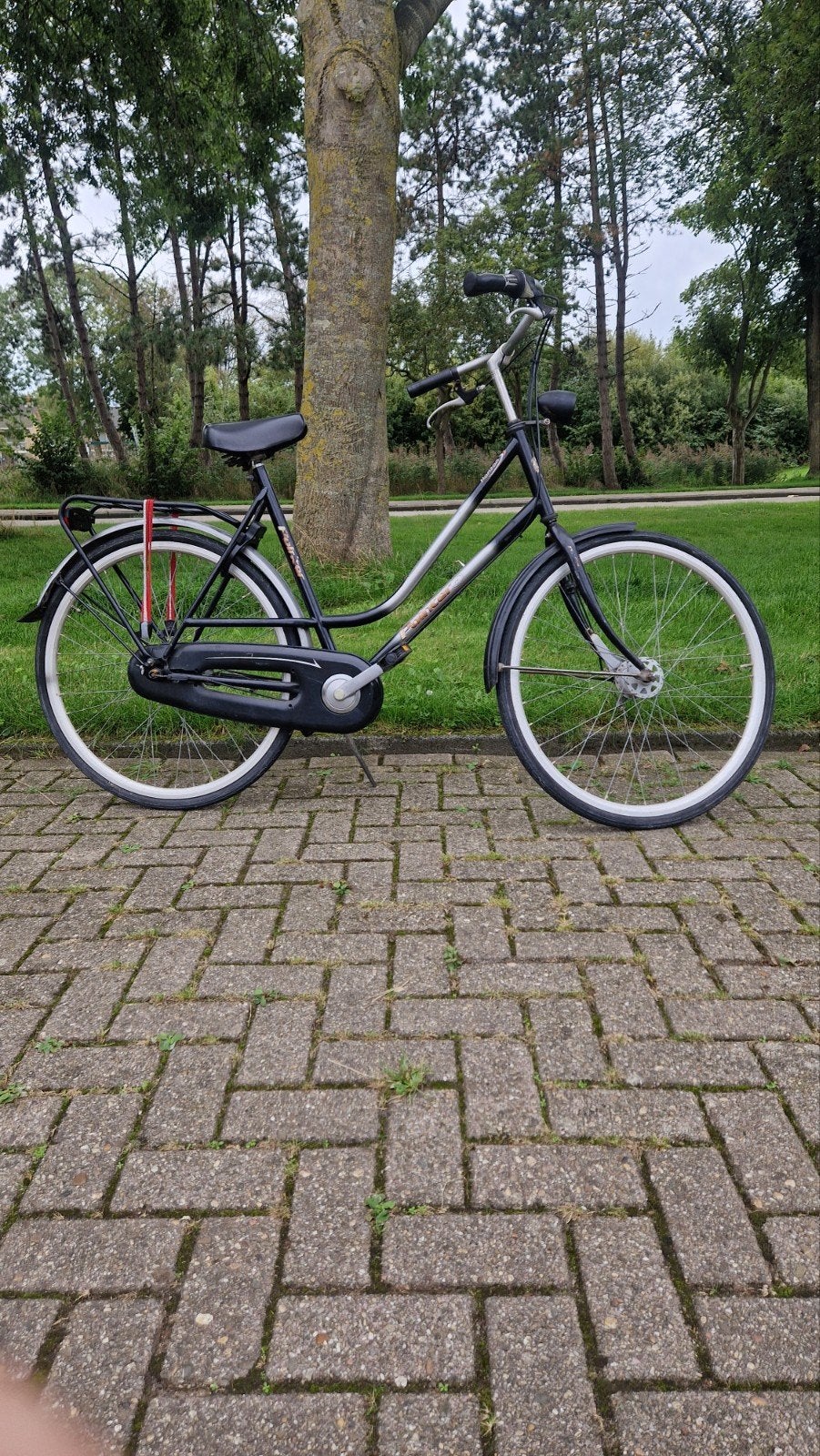 Pointer damesfiets 3 versn ., Ophalen, Versnellingen, 56 cm of meer, Trommelrem