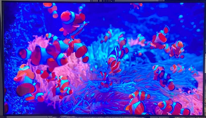 Samsung QE82R, 4K UHD 82" Signage Monitor, Chief muurbeugel, Ophalen, 50 Hz, LCD, Refurbished