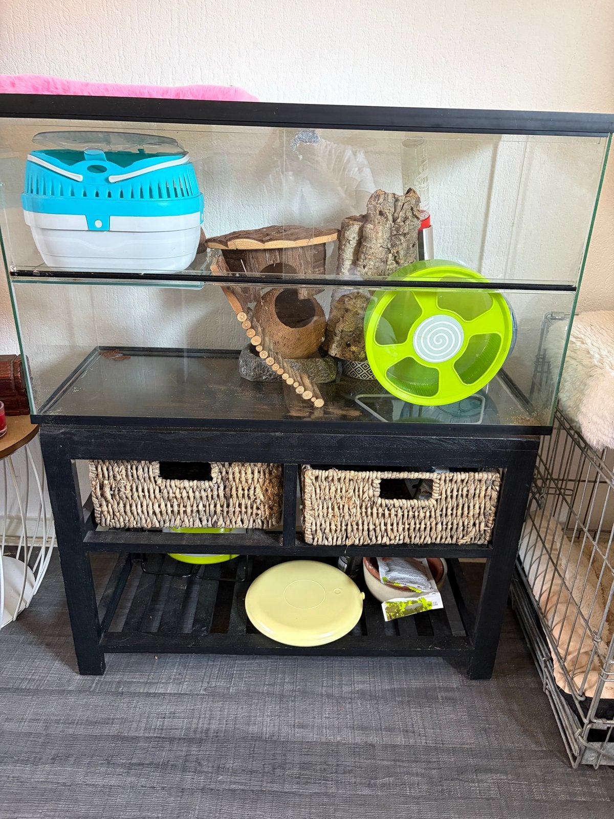 Glazen hamsterkooi inclusief kastje, Ophalen