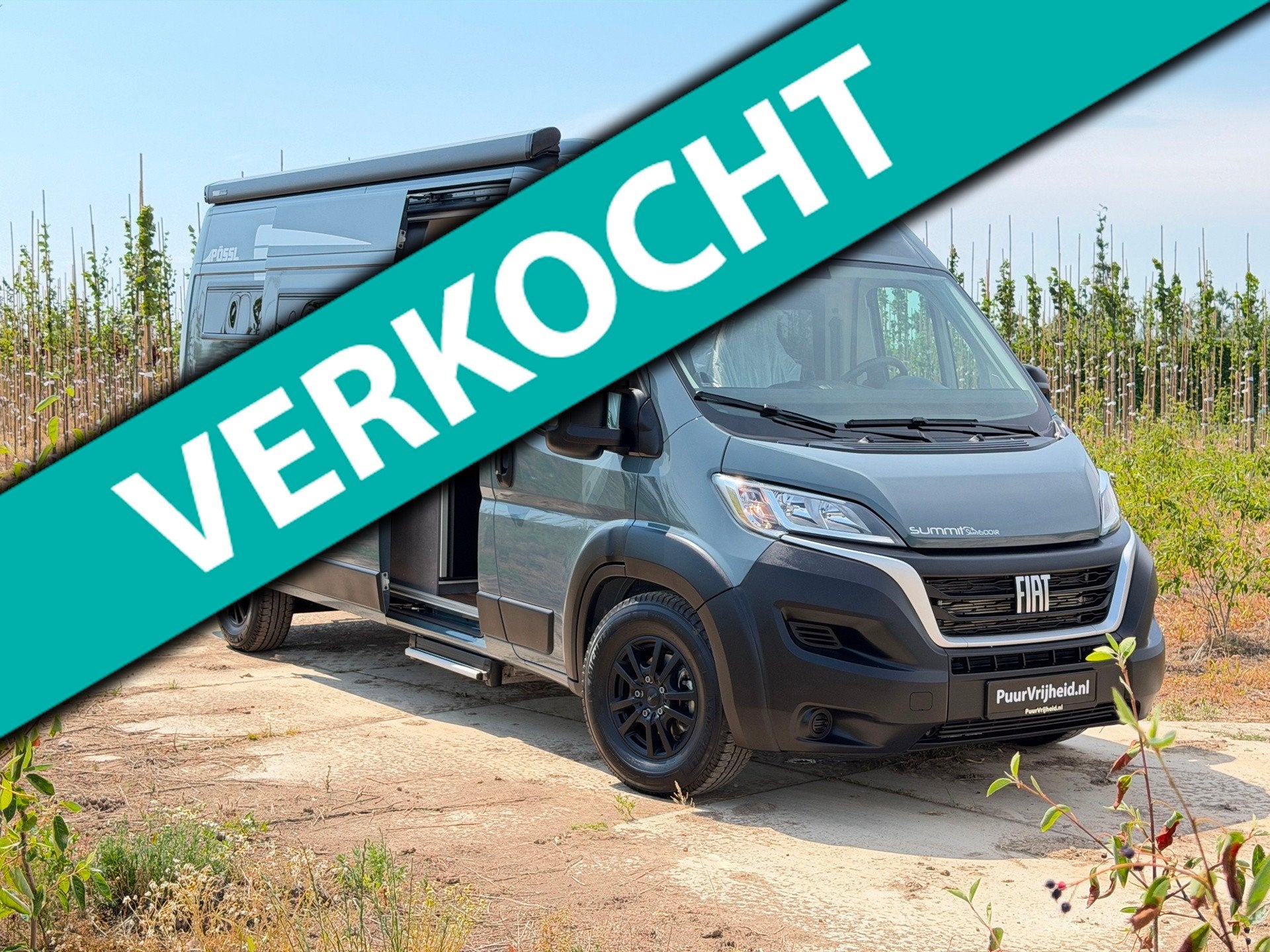 Possl Summit Shine 600 LR Automaat 180 PK, Automaat, Buscamper of Camperbus, Pössl, 6 tot 7 meter