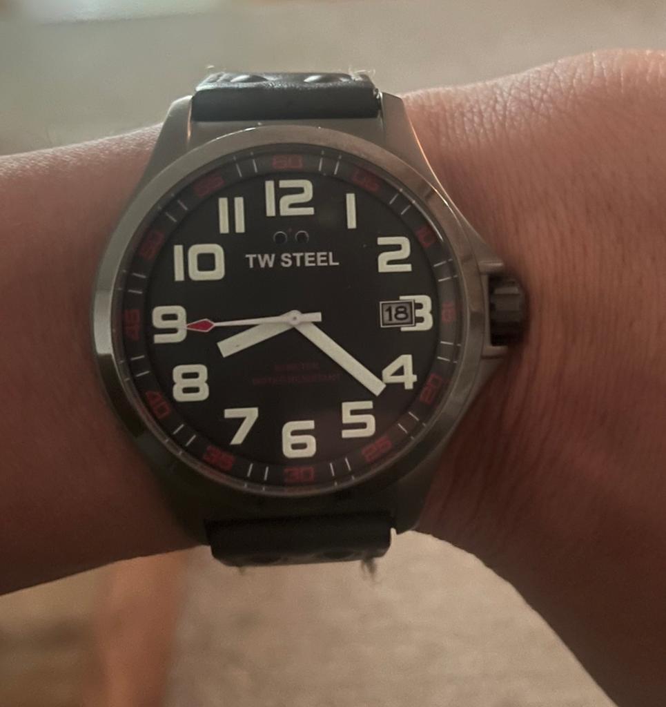 TW steel tw420 horloge, Sieraden, Tassen en Uiterlijk, Horloges | Heren, Overige merken, Staal, Polshorloge, Ophalen of Verzenden