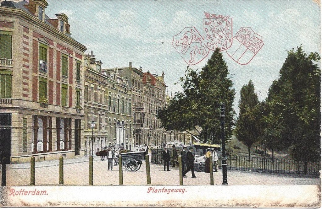 Rotterdam, Plantageweg, Volk, Hondenkar, gelopen 1910, Ophalen of Verzenden, Voor 1920, Gelopen, Zuid-Holland