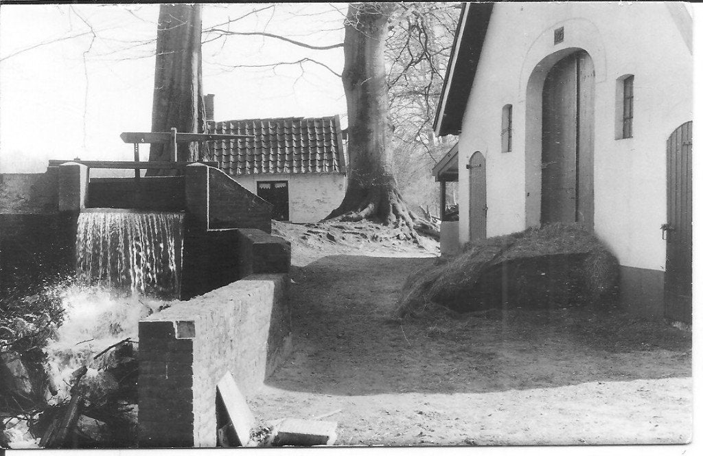 Ansichtkaart Staverden: Korenmolen bij kasteel (1985), Ophalen of Verzenden, 1980 tot heden, Ongelopen, Gelderland