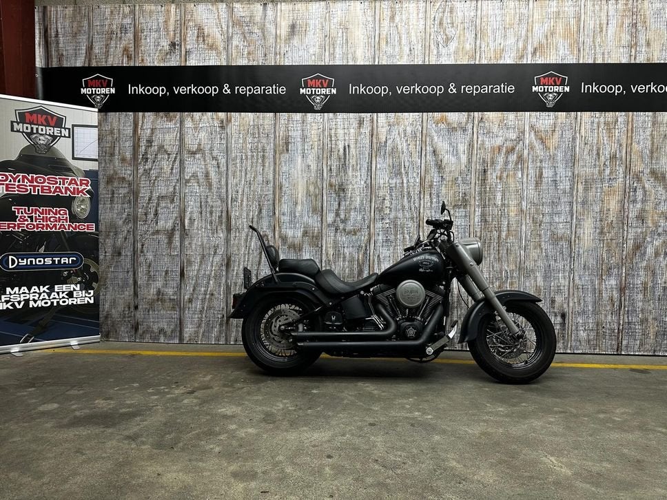 HARLEY-DAVIDSON HERITAGE SOFTAIL FLST (bj 2006), Motoren, 2 cilinders, HARLEY-DAVIDSON, Bedrijf, Onbekend