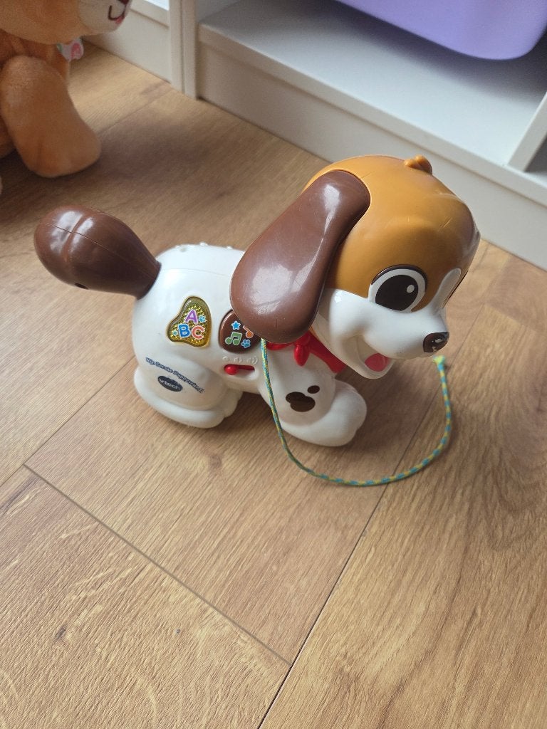 Hondje vtech, Ophalen, Gebruikt, 6 maanden tot 2 jaar