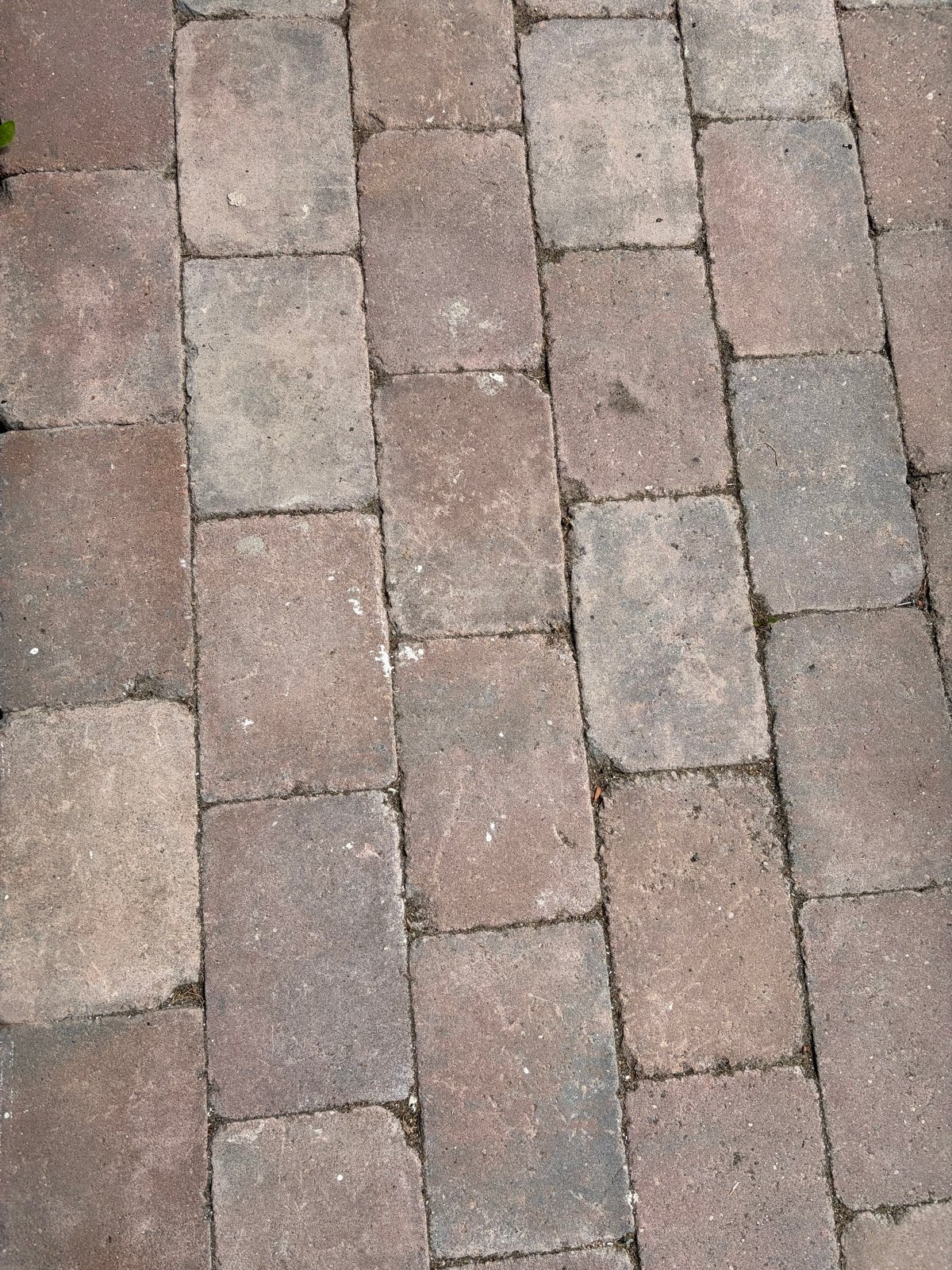 Gebruikte tuintegels - 40m2 voor terras of pad, Tuin en Terras, Ophalen, Gebruikt, 10 m² of meer, Beton