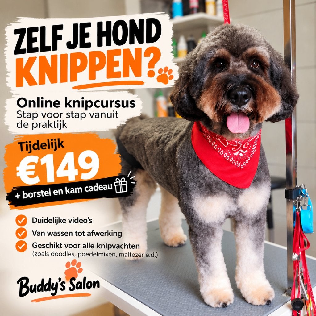 Zelf je hond leren trimmen – online knipcursus, Overige merken, Verzenden, Nieuw, Overige typen