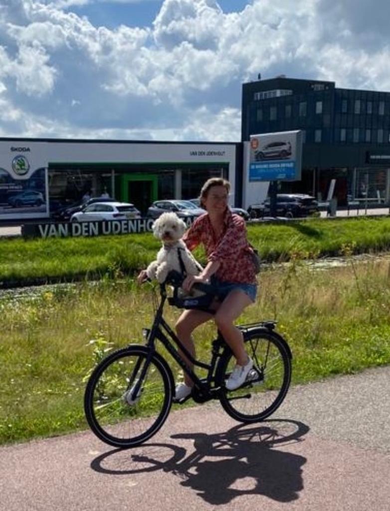 FIETSSTOEL VOOR HOND - TE KOOP, Ophalen of Verzenden, Gebruikt, 0 t/m 13 kg, Voorzitje
