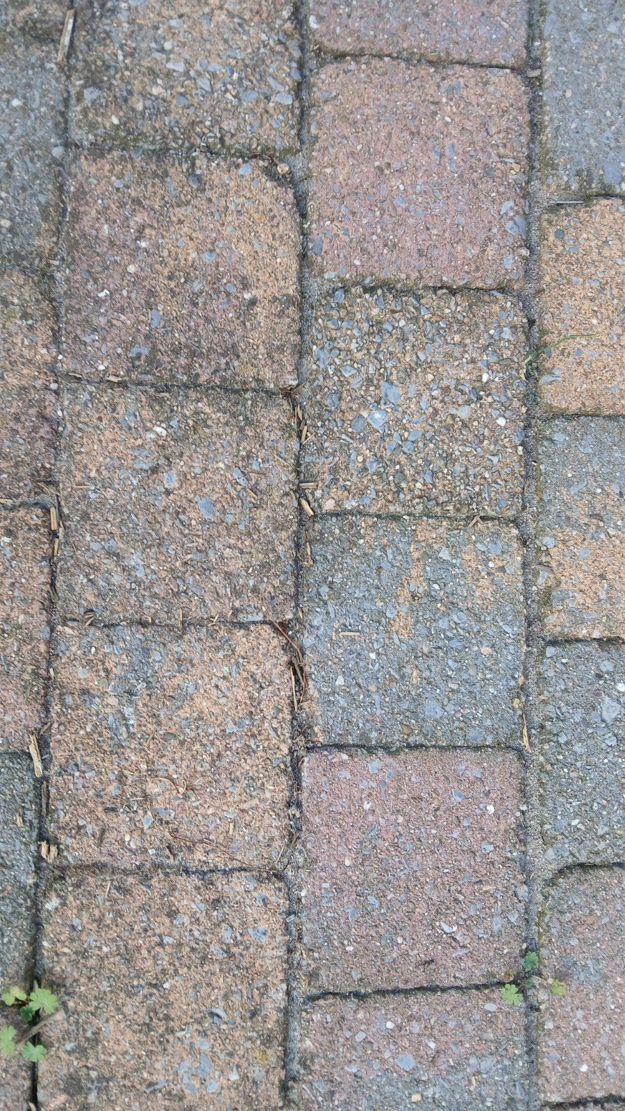 tegels, Ophalen, Gebruikt, Beton, Terrastegels