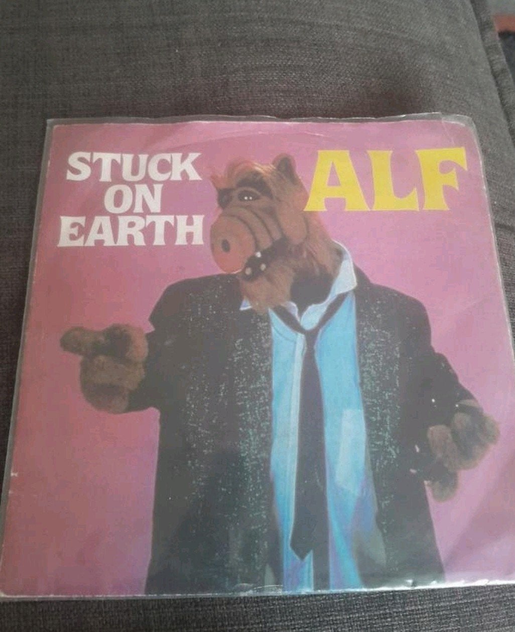 Alf Stuck on earth, Ophalen of Verzenden, Gebruikt, Pop
