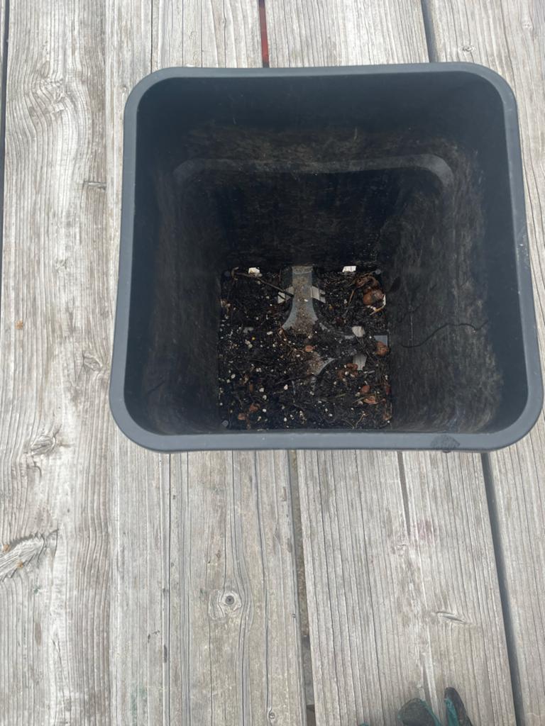 Zwarte vierkante kweekpotten , gebruikt, Tuin en Terras, Kunststof, Gebruikt, Vierkant, Binnen