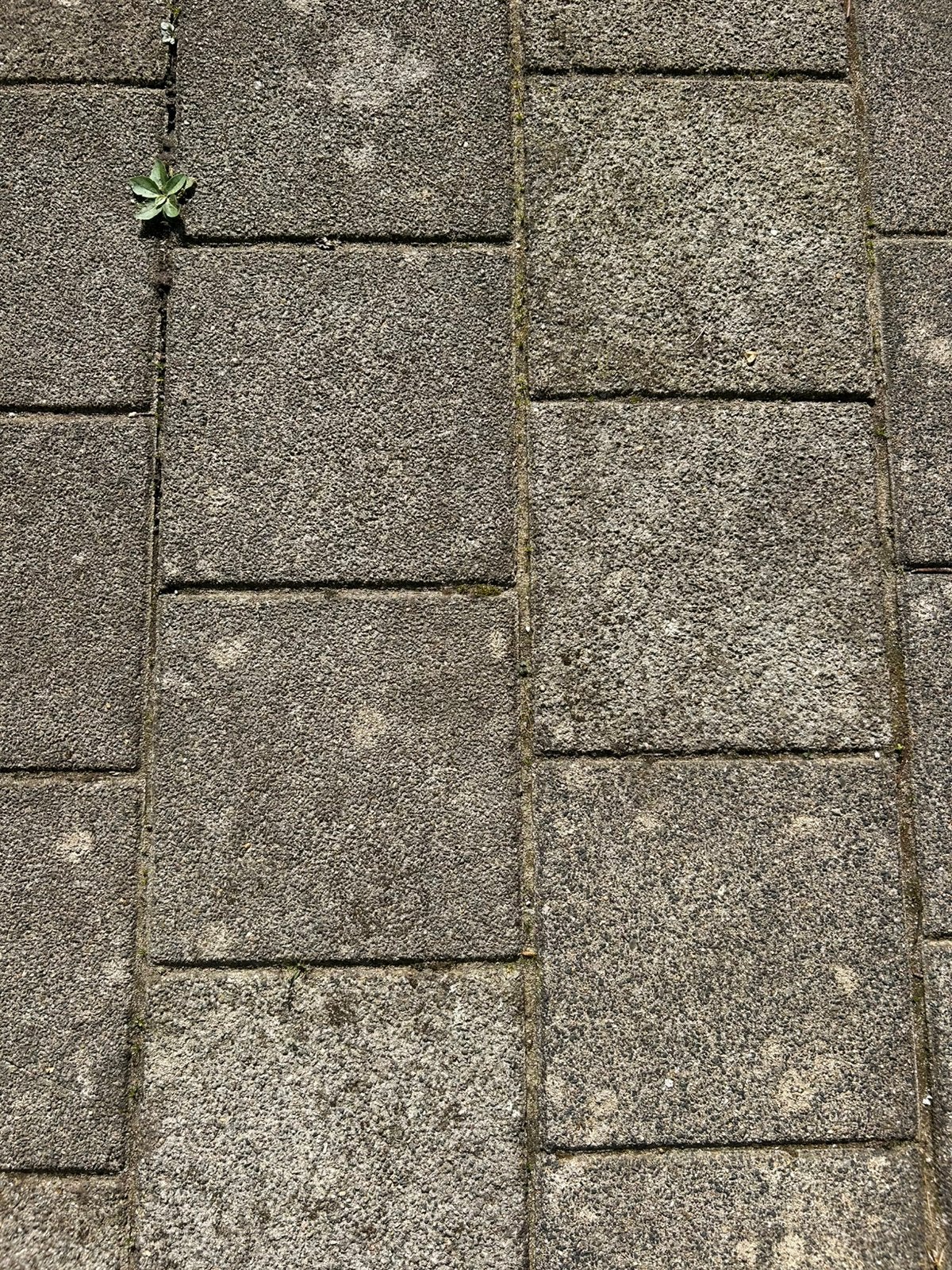 Tegels, Tuin en Terras, Ophalen, Gebruikt, Beton, Terrastegels