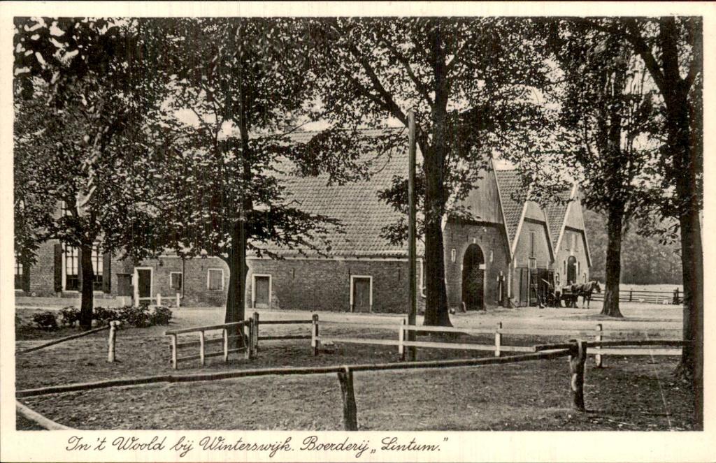 Winterswijk - Boerderij - Lintum, Ophalen of Verzenden, 1920 tot 1940, Ongelopen, Gelderland