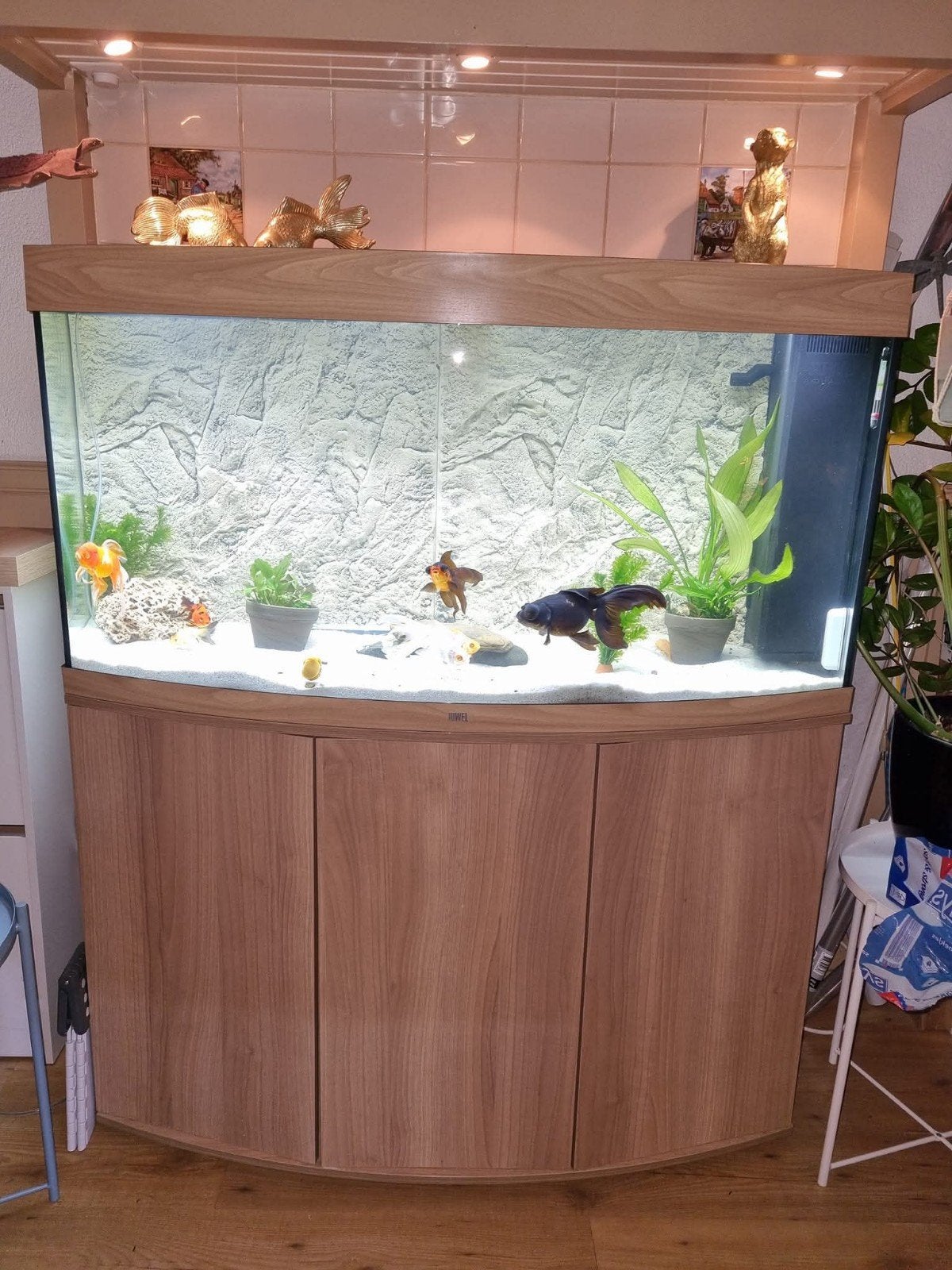 Prachtige JUWEL Vision 260 LED (Licht Eiken) + Topklasse Ext, Ophalen, Gebruikt, Leeg aquarium