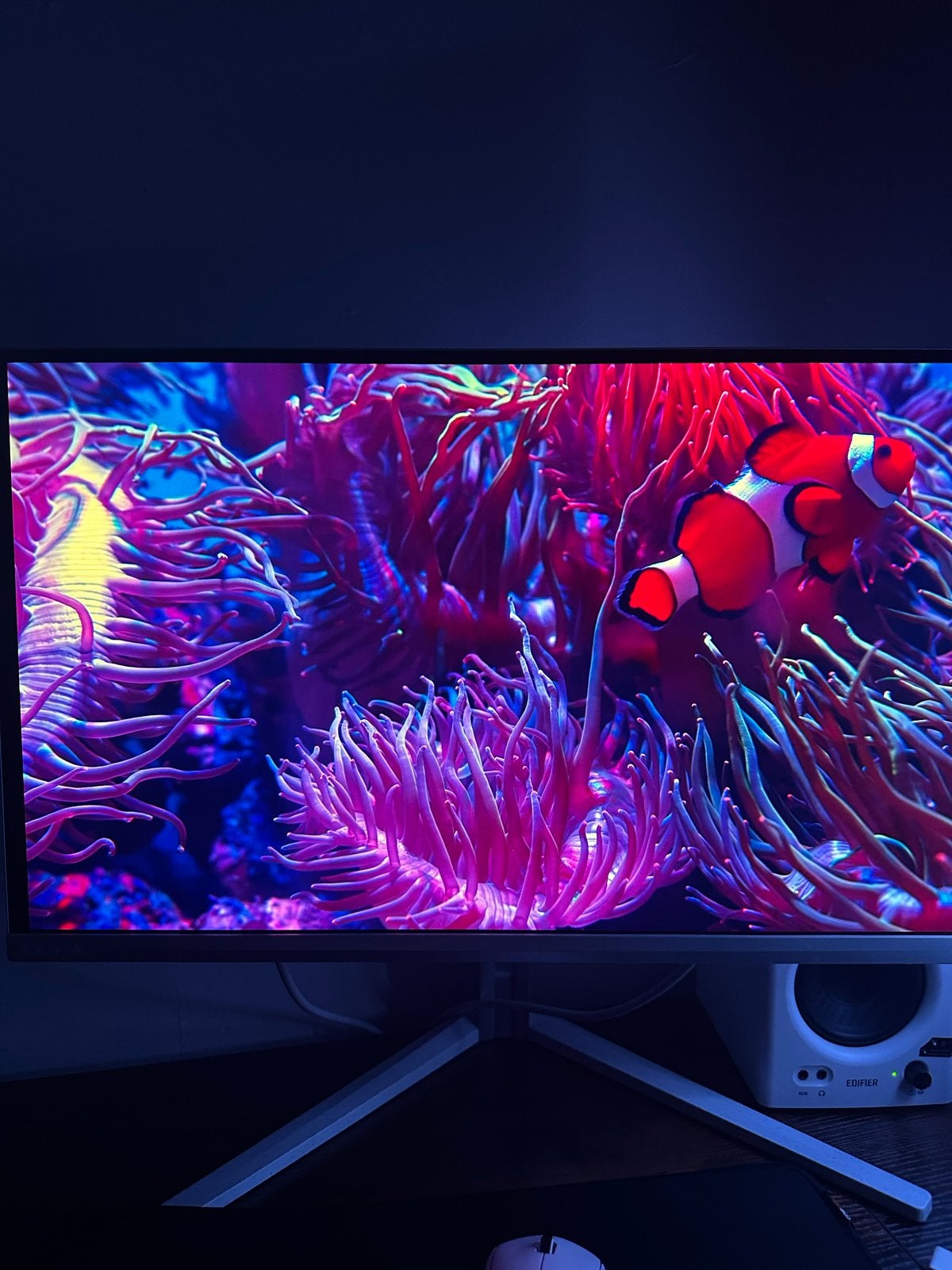 QD-OLED 360Hz Philips Evnia 8500, HDMI, 3 tot 5 ms, Kantelbaar, 101 t/m 150 Hz