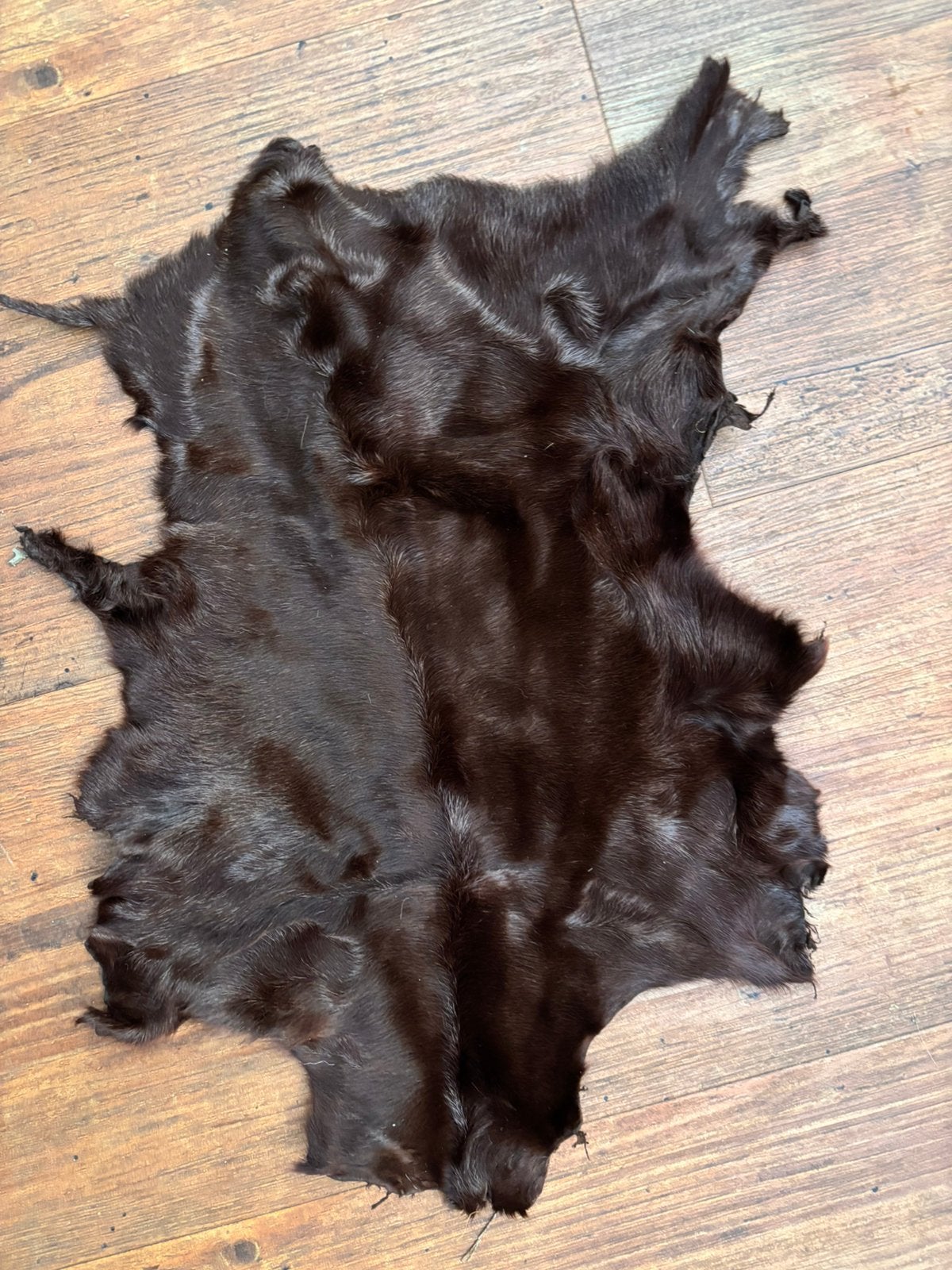 Bruin vacht kleedje 85 x 60 origineel bont , nieuw, Verzenden, Bruin, Rechthoekig, 50 tot 100 cm